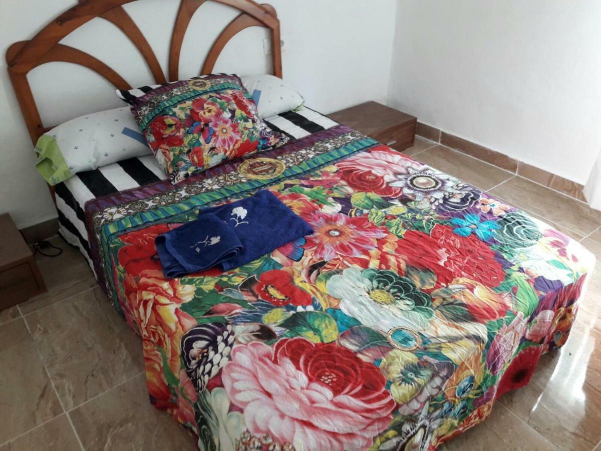 Apartamento Sofia Valensiya Dış mekan fotoğraf